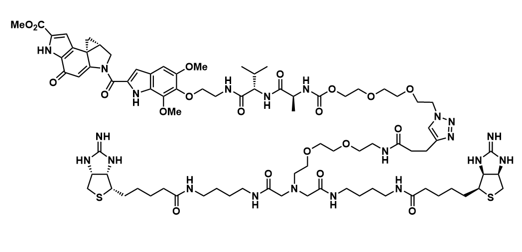 制がん剤ペイロードモジュール（Duocarmycin）の化学構造