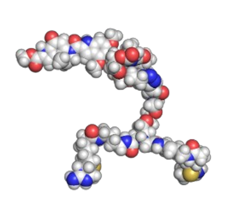 制がん剤ペイロードモジュールの分子構造（ビスイミノビオチンリンカー）